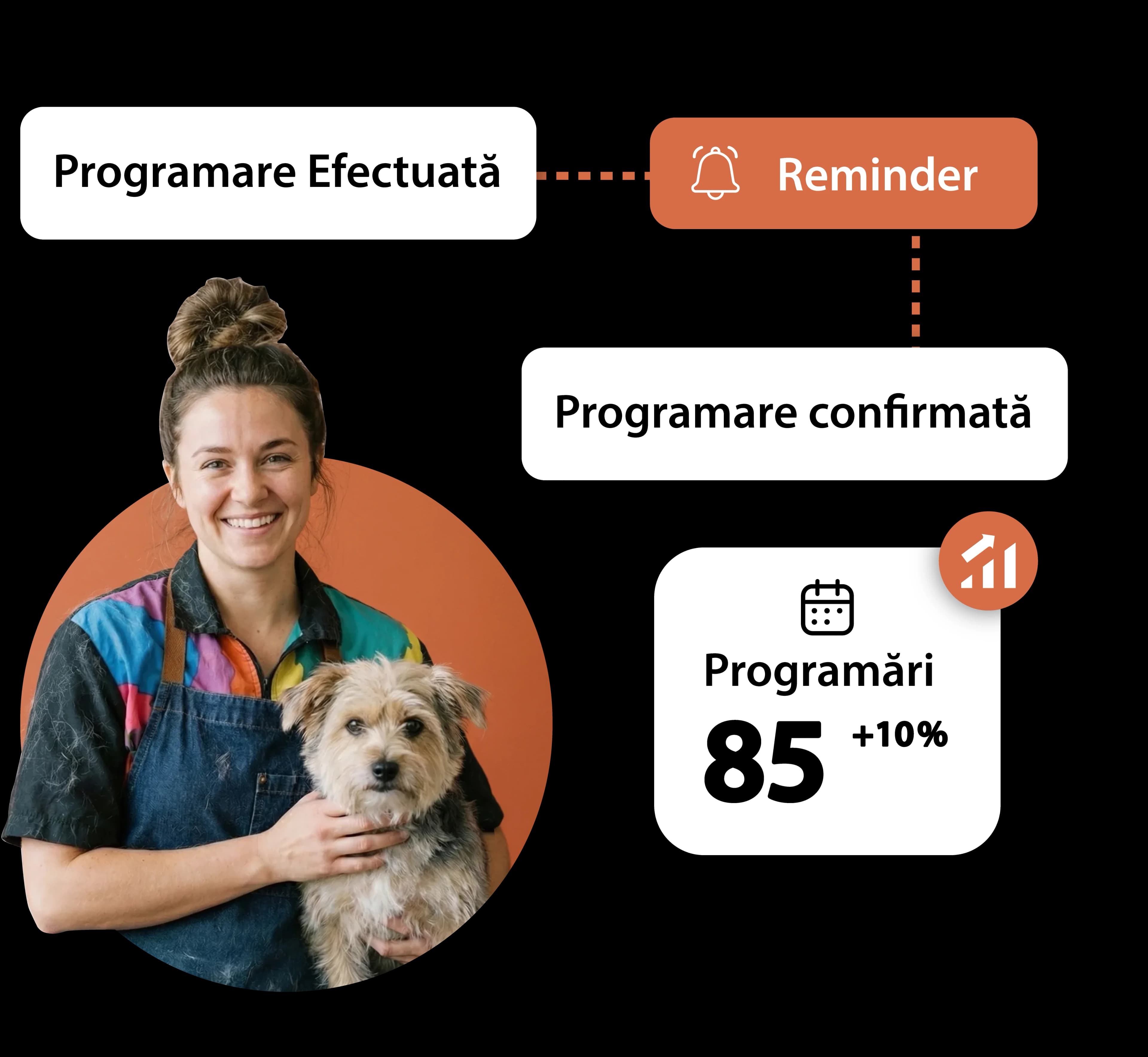 Mesaje automate programate