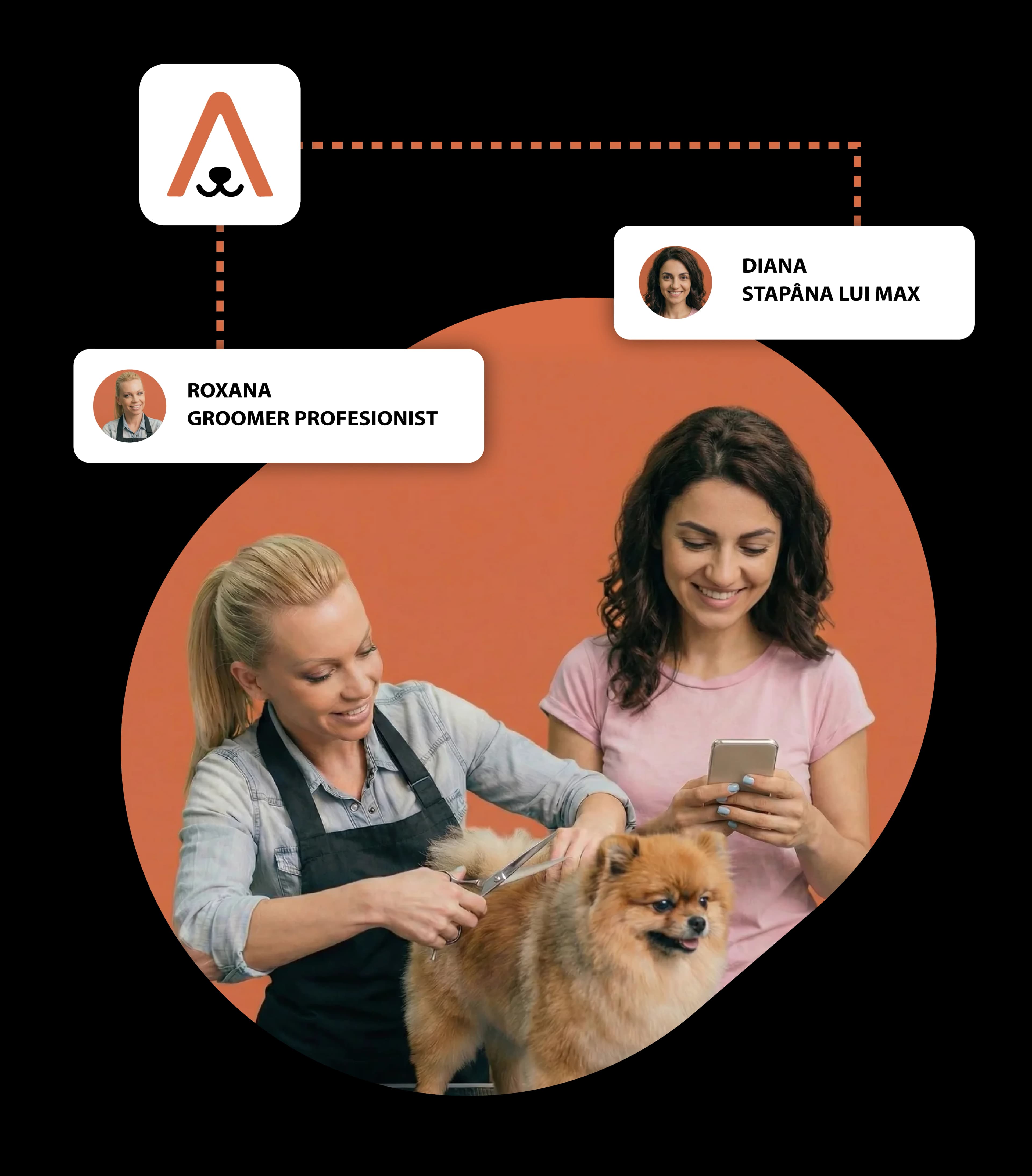 Programări online pentru salon pet grooming