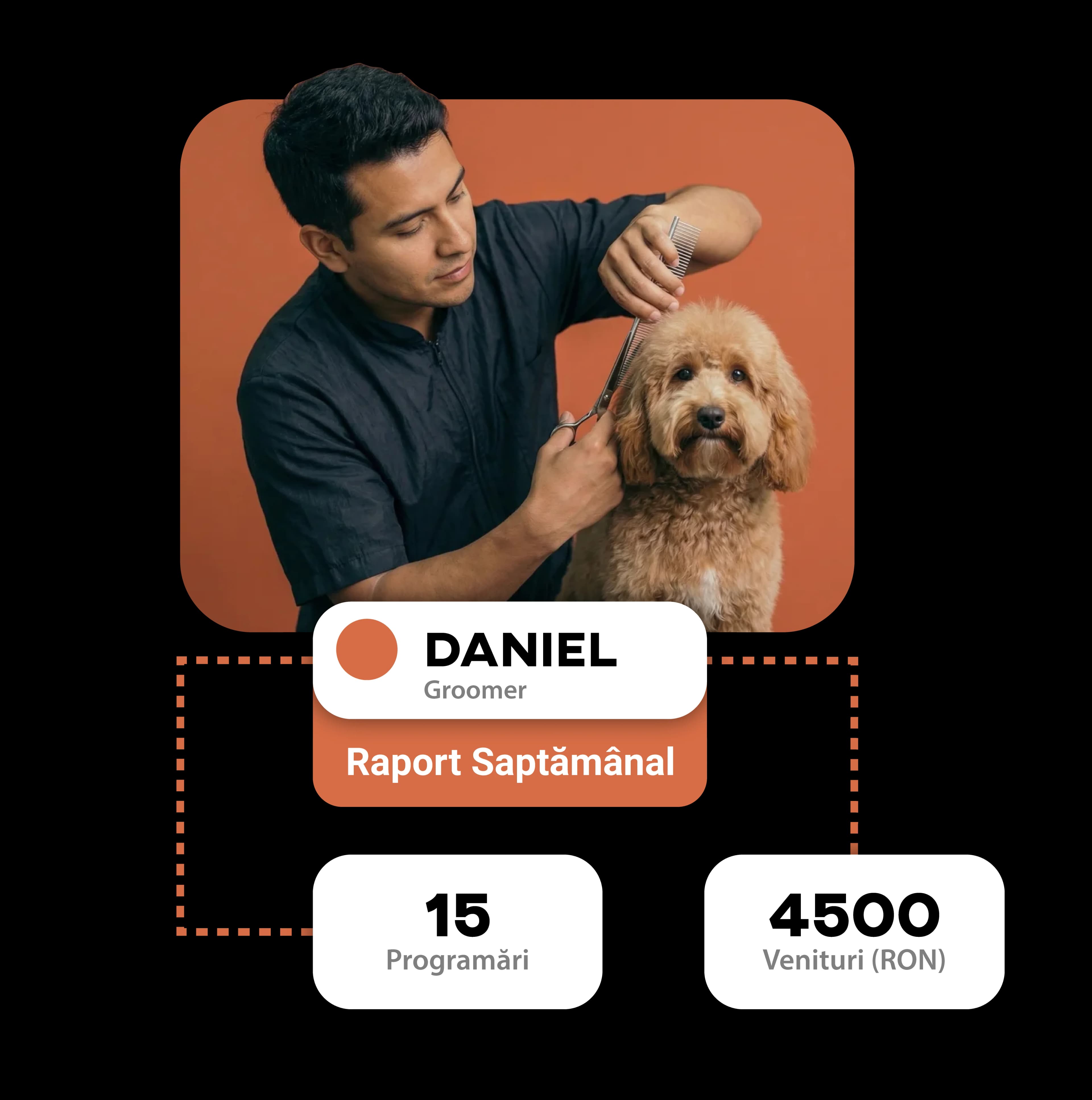 Distribuția animalelor și cele mai populare rase