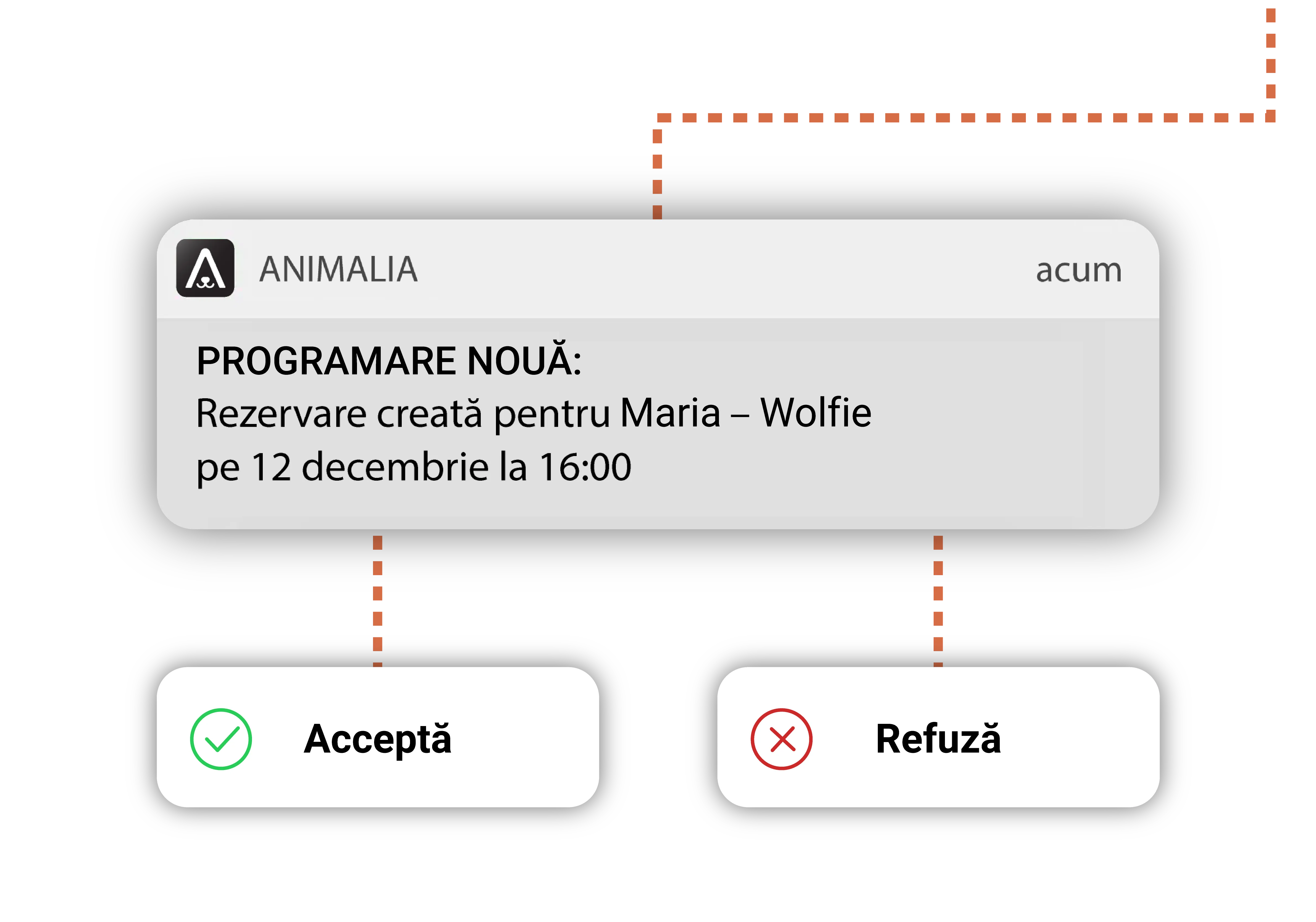 Programare rapidă de pe telefon