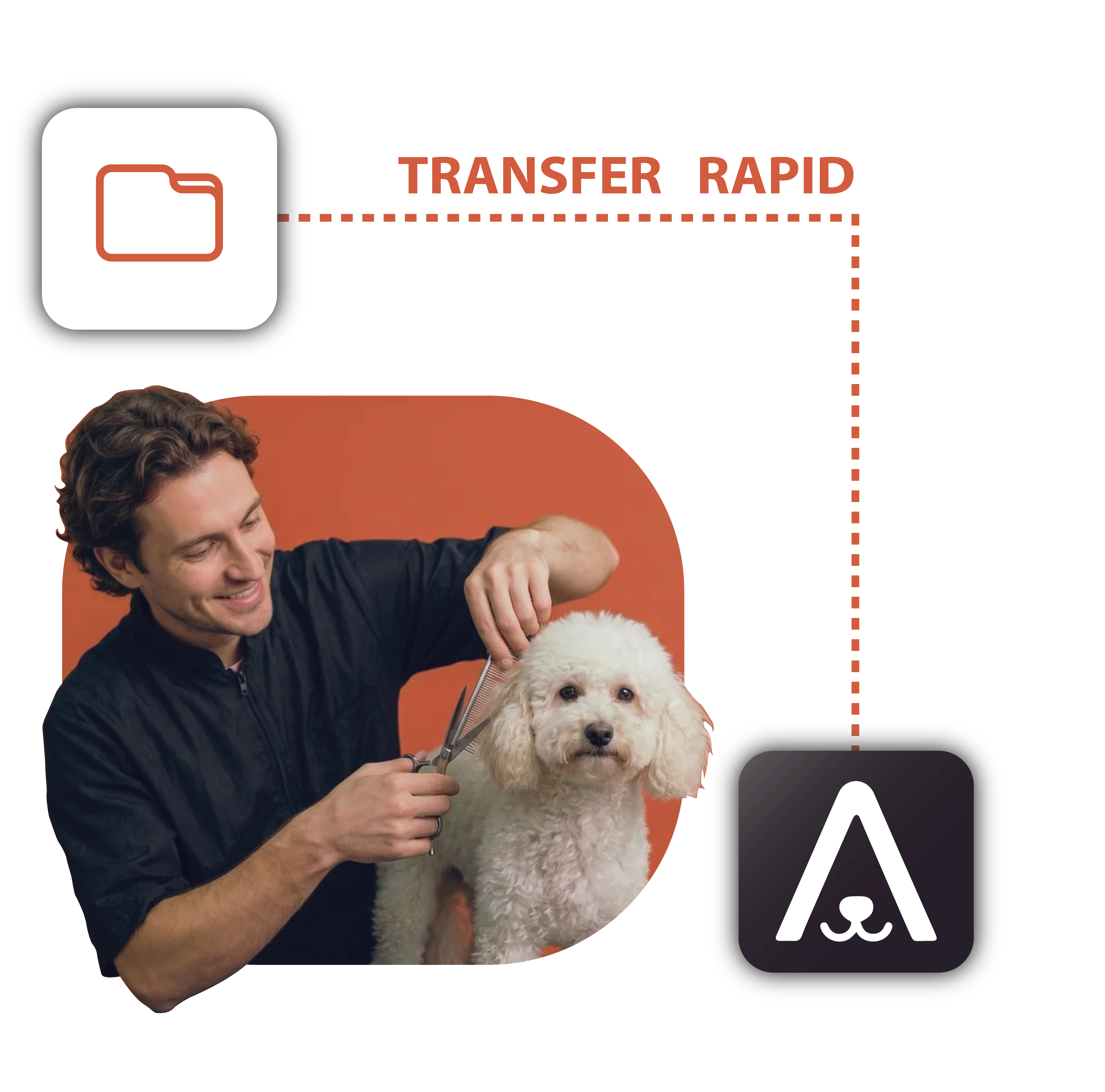 Transfer rapid - activitatea continuă